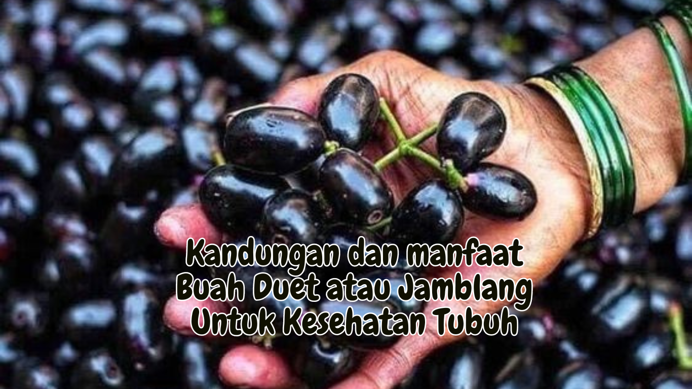 Kandungan dan manfaat Buah Duet