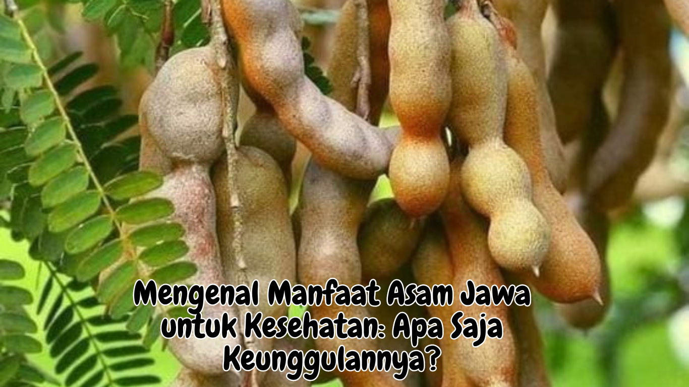 Manfaat Asam Jawa untuk Kesehatan