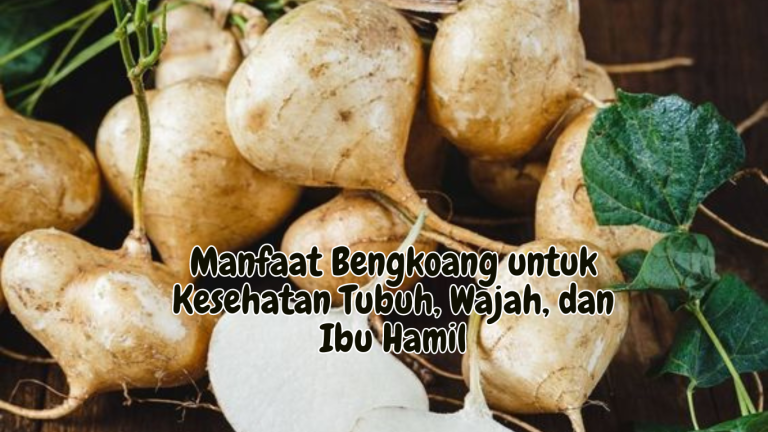 Manfaat Bengkoang untuk Kesehatan Tubuh