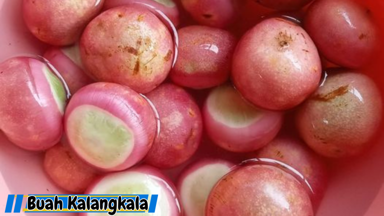 Manfaat Buah Kalangkala