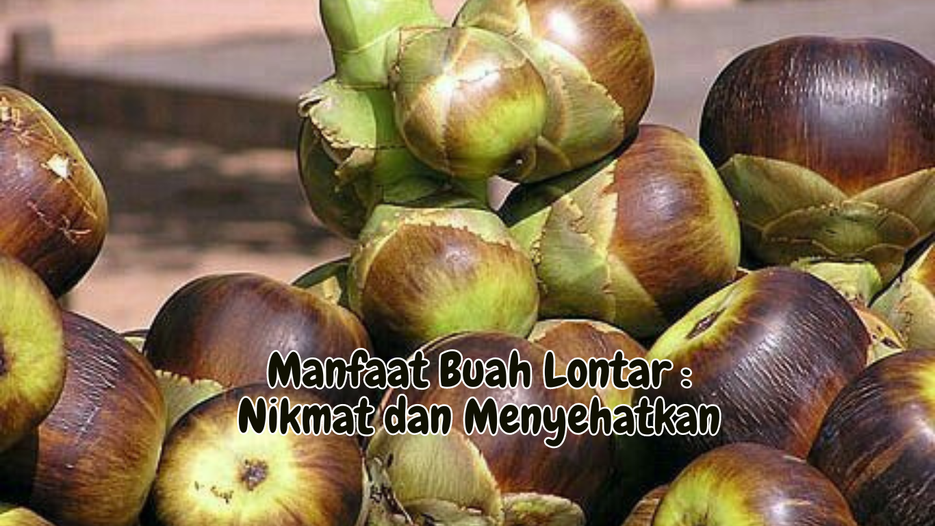 Manfaat Buah Lontar Nikmat dan Menyehatkan 3