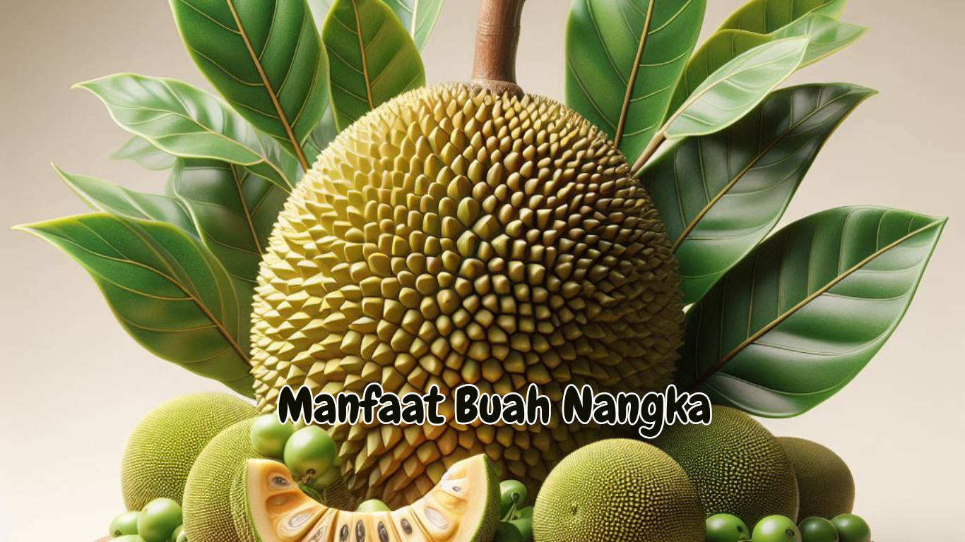 Manfaat Buah Nangka