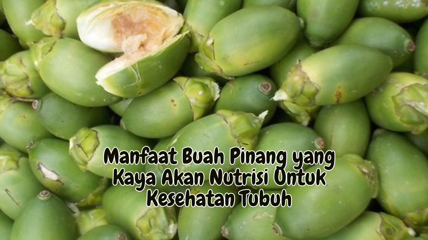 Manfaat Buah Pinang