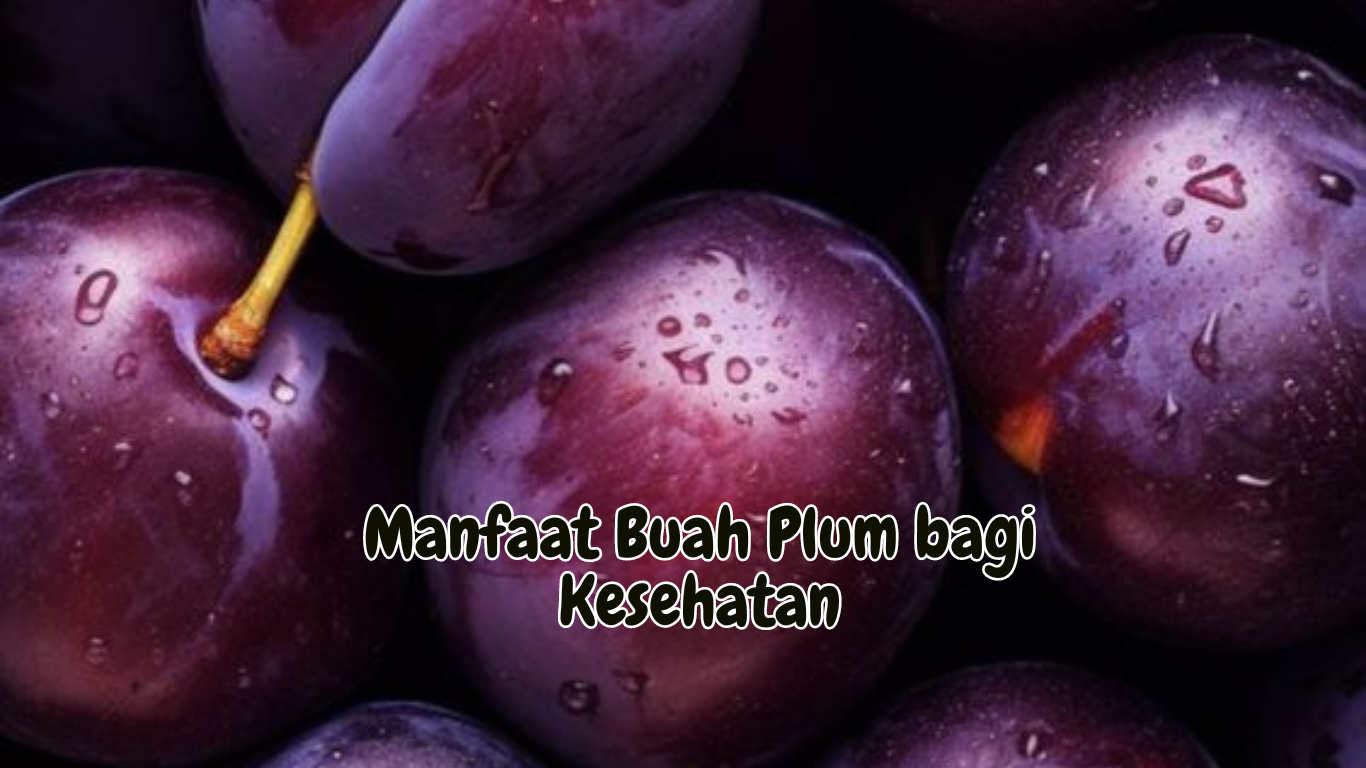 Manfaat Buah Plum bagi Kesehatan