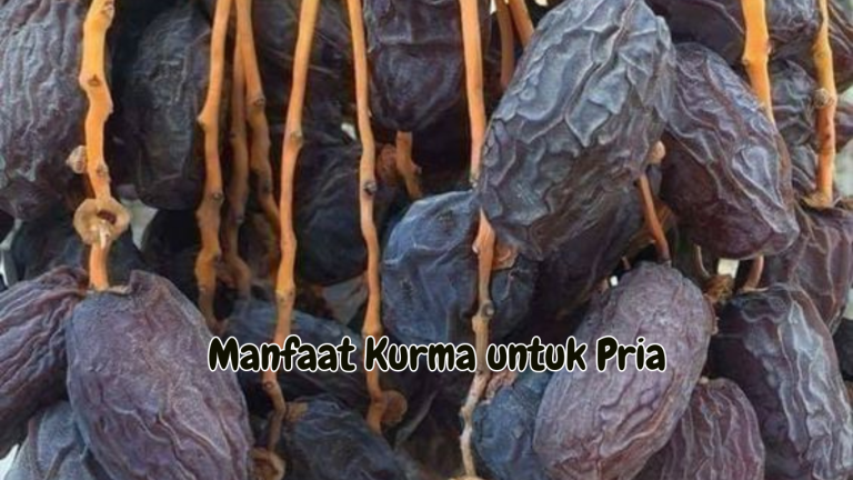 Manfaat Kurma untuk Pria