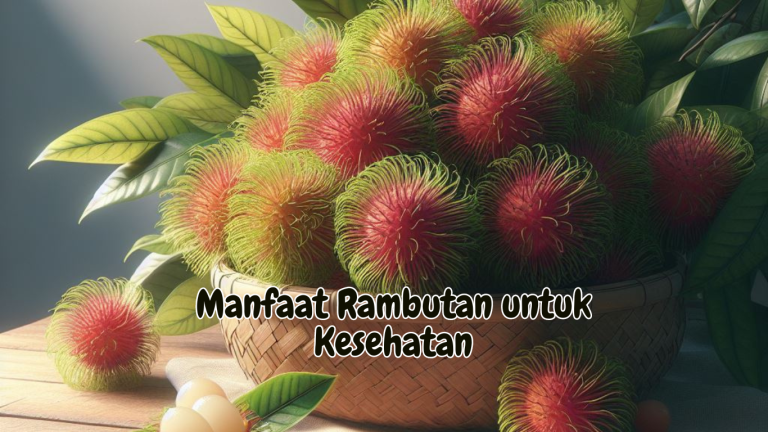 Manfaat Rambutan untuk Kesehatan