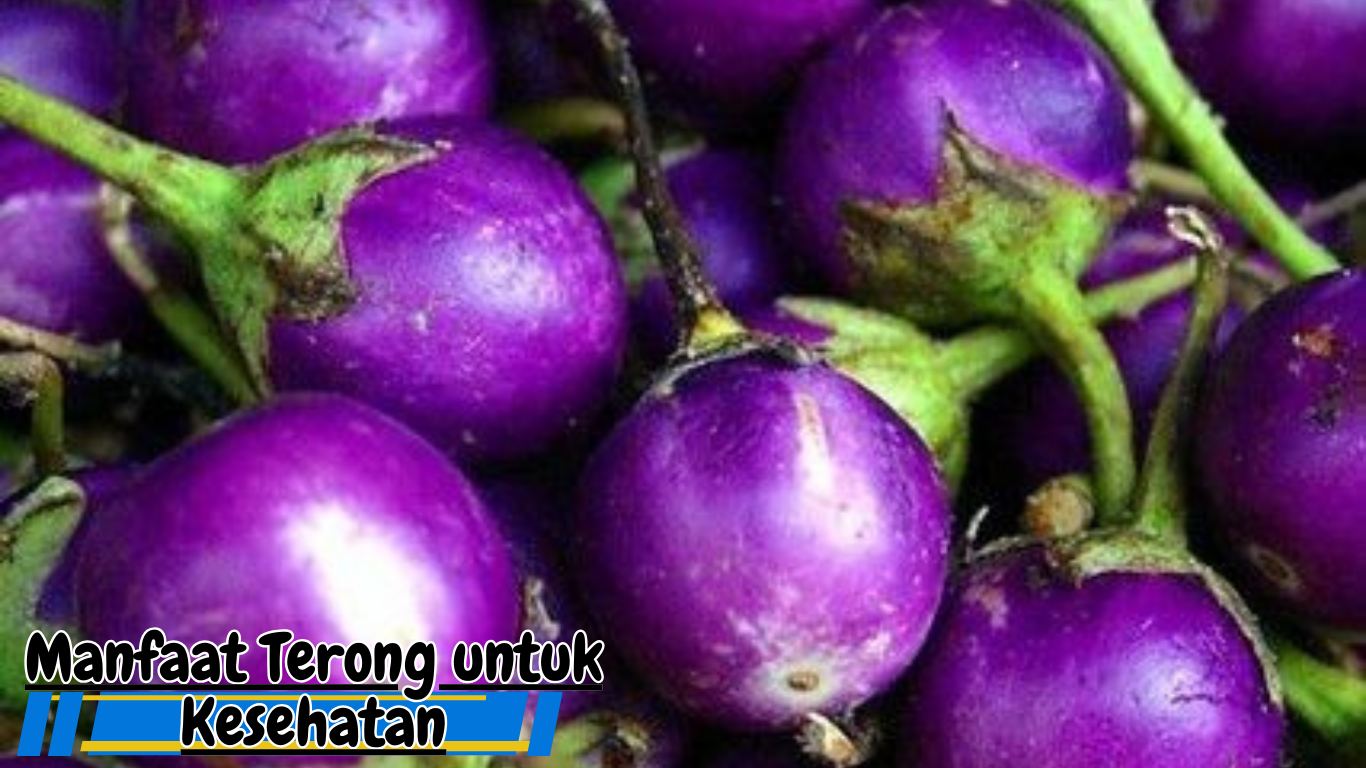 Manfaat Terong untuk Kesehatan yang Jarang Diketahui